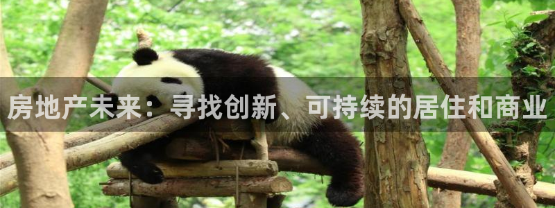 新宝5娱乐都：房地产未来：寻找创新、可持续的居住和商业