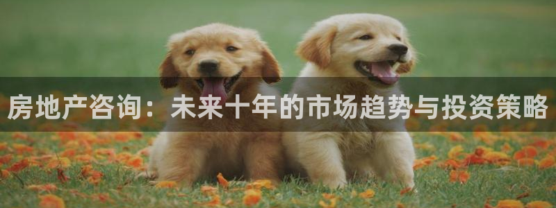 新宝5测速在线：房地产咨询：未来十年的市场趋势与投资策略