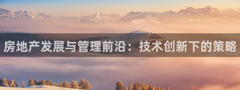 新宝5是什么样子的：房地产发展与管理前沿：技术创新下的策略