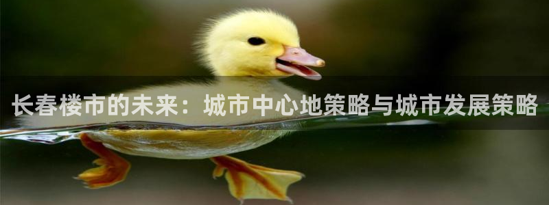 新宝5 - 测速登陆：长春楼市的未来：城市中心地策略与城市发