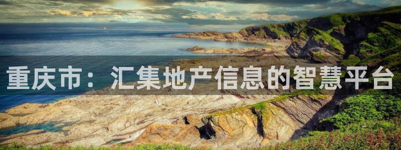 新宝5下载网址：重庆市：汇集地产信息的智慧平台