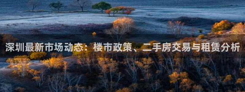 新宝5得74OOO5：深圳最新市场动态：楼市政策、二手房交易