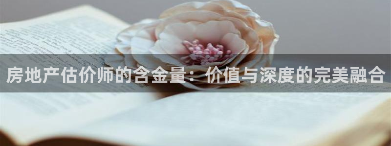 新宝5浗维33 300：房地产估价师的含金量：价值与深度的完