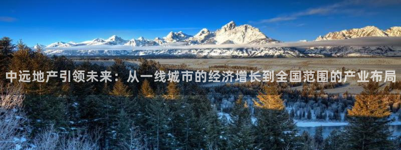 新宝5官网67五壹叁八：中远地产引领未来：从一线城市的经济增