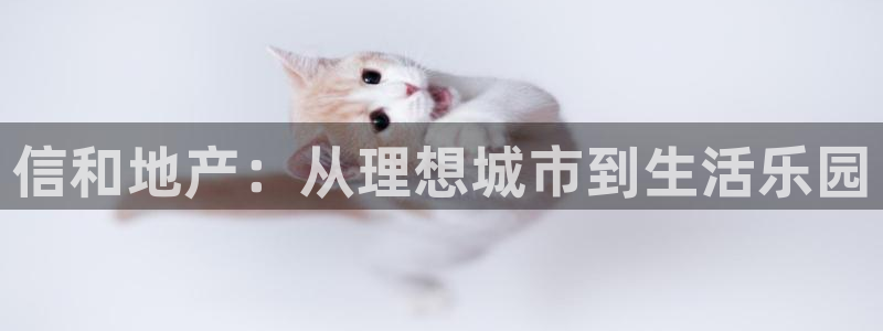 新宝5-测速：信和地产：从理想城市到生活乐园