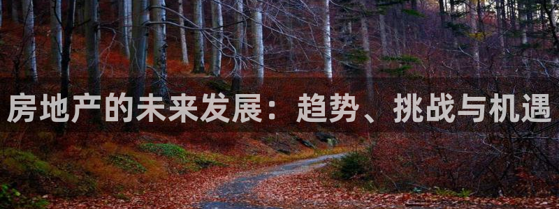 新宝股东王听2 5 5：房地产的未来发展：趋势、挑战与机遇