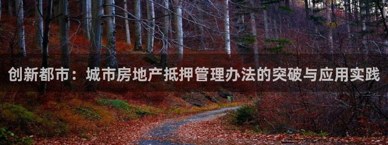 新宝5开好：创新都市：城市房地产抵押管理办法的突破与应用实践