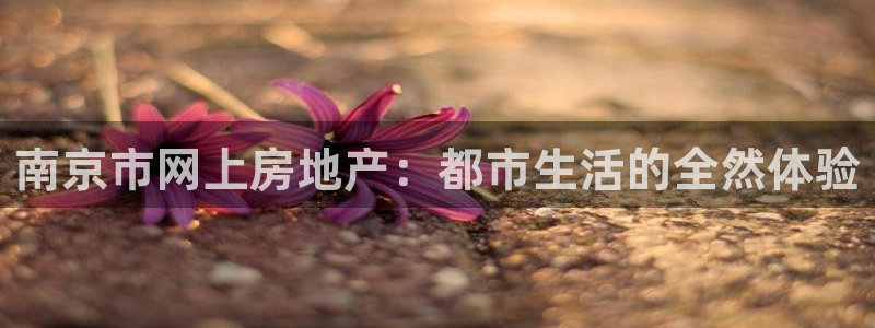 新宝5登陆：南京市网上房地产：都市生活的全然体验