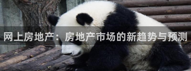 新宝5褚32OO59：网上房地产：房地产市场的新趋势与预测