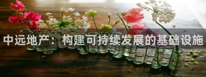 新宝5娱乐学：中远地产：构建可持续发展的基础设施