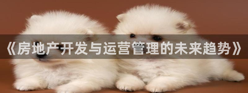新宝5入口：《房地产开发与运营管理的未来趋势》