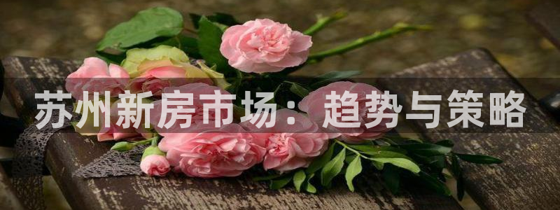 新宝5线路登录：苏州新房市场：趋势与策略