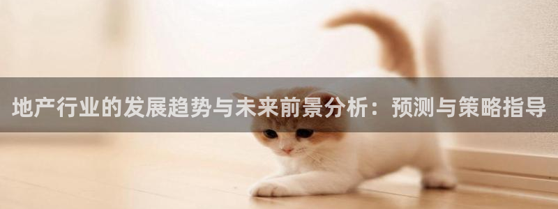 新宝5天：地产行业的发展趋势与未来前景分析：预测与策略指导