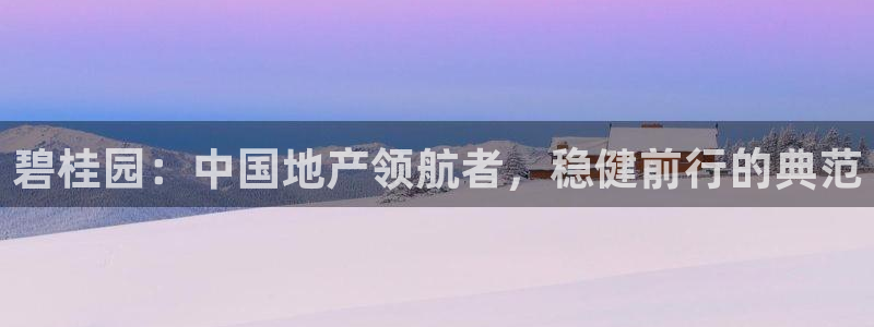 新宝5浗维33 300：碧桂园：中国地产领航者，稳健前行的典
