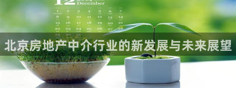 新宝5娱乐代理：北京房地产中介行业的新发展与未来展望