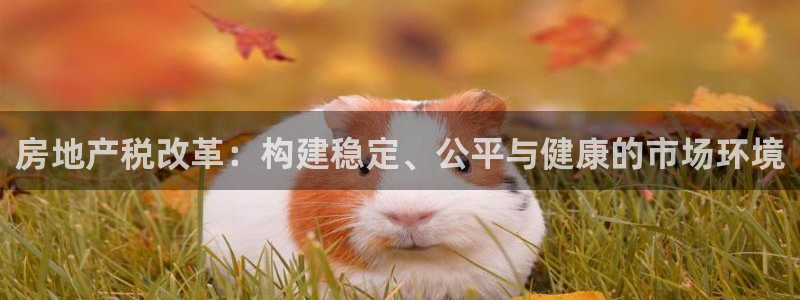 新宝5苹果手机下载：房地产税改革：构建稳定、公平与健康的市场