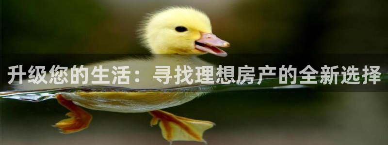 新宝5登录地址：升级您的生活：寻找理想房产的全新选择