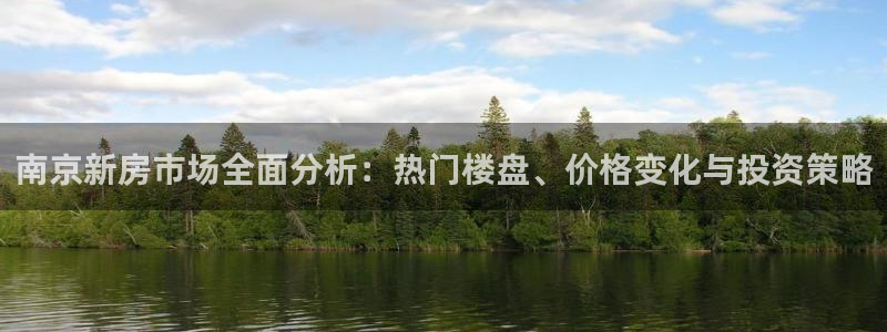 新宝5郑74OOO5：南京新房市场全面分析：热门楼盘、价格变