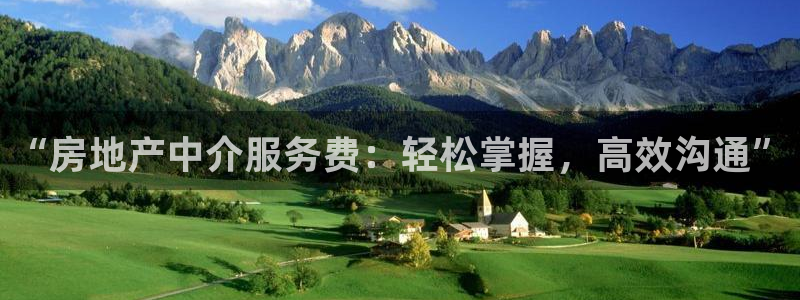 新宝5是什么样子的：“房地产中介服务费：轻松掌握，高效沟通”