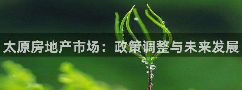 新宝5手机下载：太原房地产市场：政策调整与未来发展