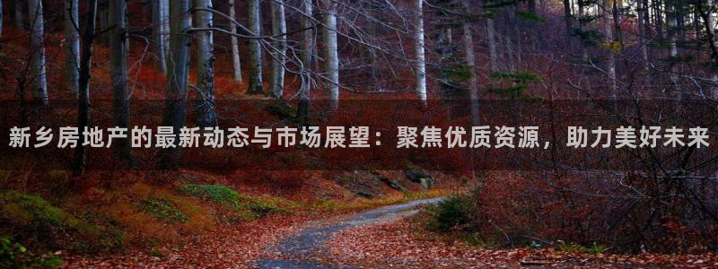 新宝5褚74OOO5：新乡房地产的最新动态与市场展望：聚焦优