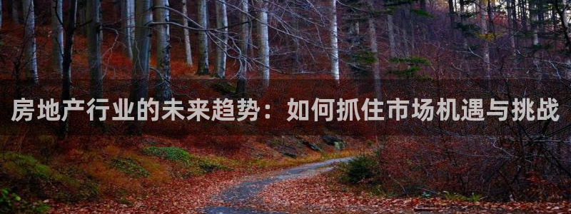 新宝娱乐5：房地产行业的未来趋势：如何抓住市场机遇与挑战
