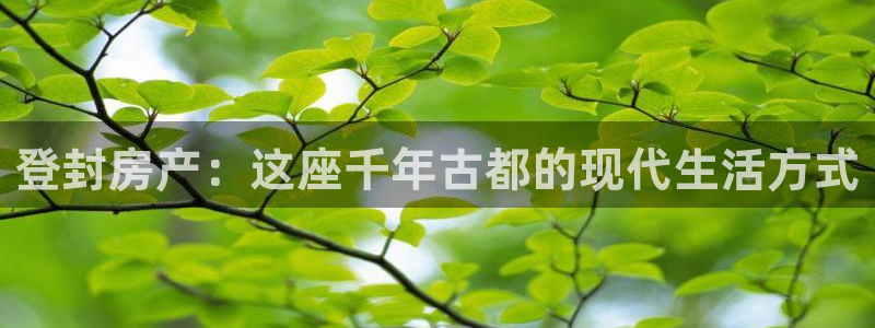 新宝5现在还能玩吗：登封房产：这座千年古都的现代生活方式