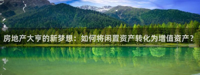 新宝5谠631257：房地产大亨的新梦想：如何将闲置资产转化