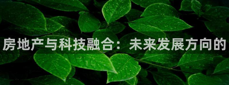 新宝5娱乐代理：房地产与科技融合：未来发展方向的