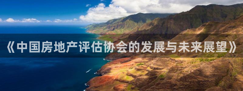 新宝5 注册：《中国房地产评估协会的发展与未来展望》