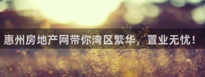 新宝5口67五壹叁八：惠州房地产网带你湾区繁华，置业无忧！