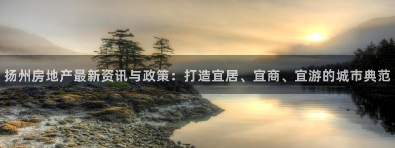 新宝5手机版：扬州房地产最新资讯与政策：打造宜居、宜商、宜游