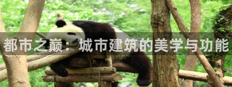 新宝5官网app：都市之巅：城市建筑的美学与功能