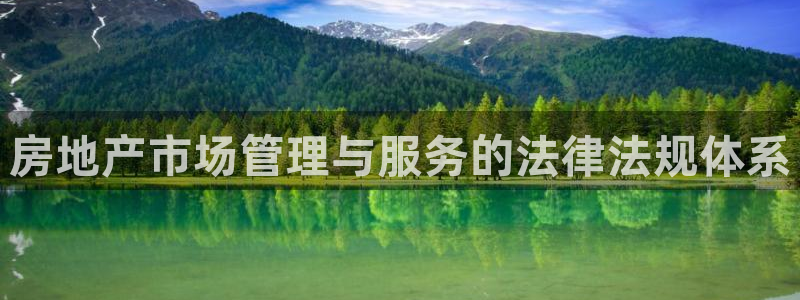 菲律宾新宝5老板：房地产市场管理与服务的法律法规体系