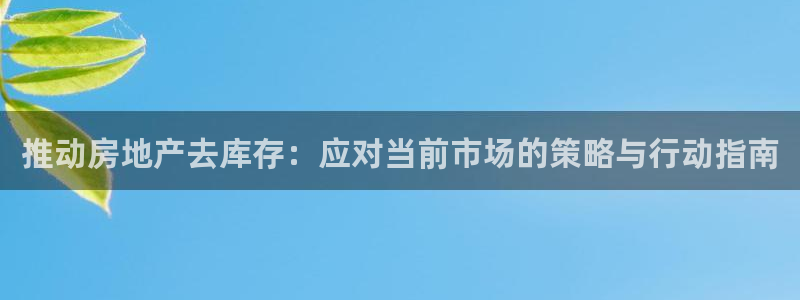 新宝5招商：推动房地产去库存：应对当前市场的策略与行动指南