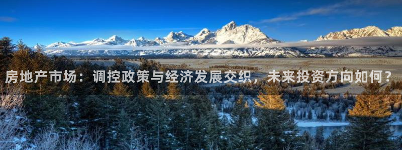新宝5平台注册资金：房地产市场：调控政策与经济发展交织，未来