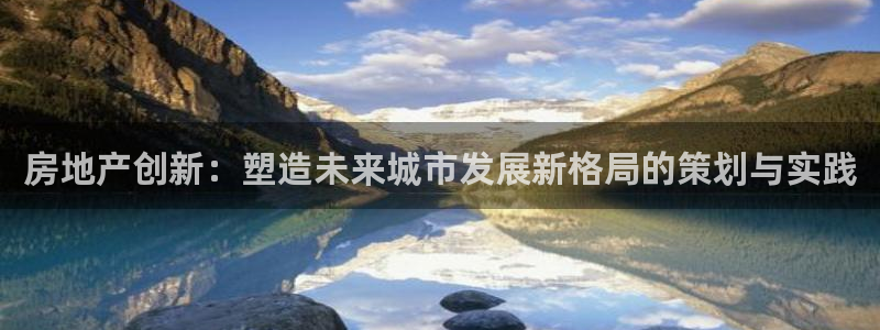 新宝5主管：房地产创新：塑造未来城市发展新格局的策划与实践