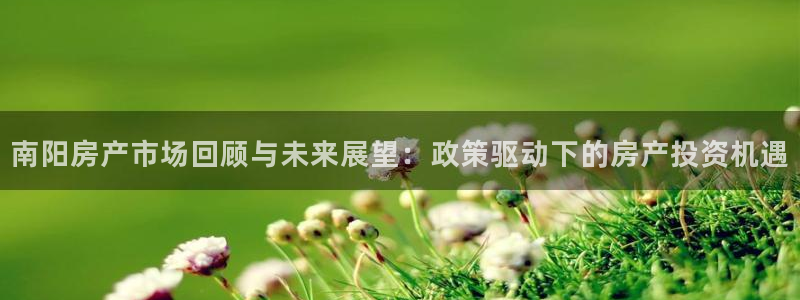 新宝5-测速：南阳房产市场回顾与未来展望：政策驱动下的房产投