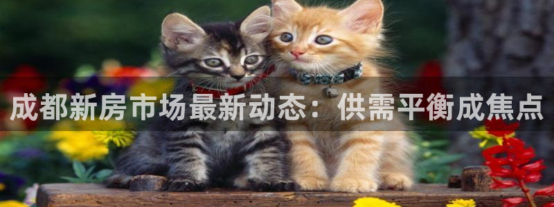 新宝5五：成都新房市场最新动态：供需平衡成焦点