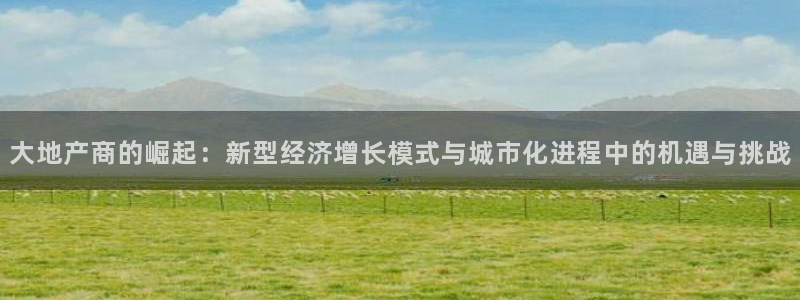 新宝5测速：大地产商的崛起：新型经济增长模式与城市化进程中的