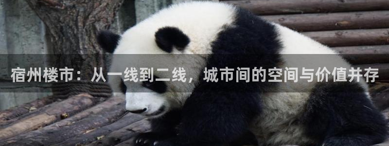 新宝5客户端登录：宿州楼市：从一线到二线，城市间的空间与价值
