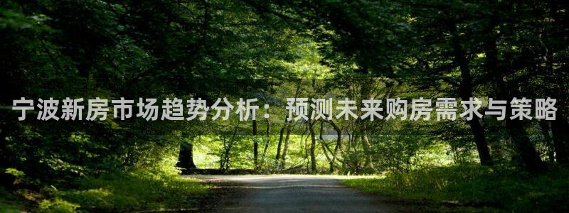 新宝b2O5O5O：宁波新房市场趋势分析：预测未来购房需求与