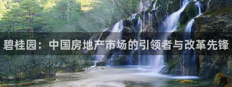 新宝5娱乐注：碧桂园：中国房地产市场的引领者与改革先锋