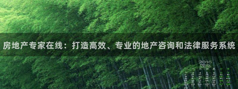 新宝新5：房地产专家在线：打造高效、专业的地产咨询和法律服务