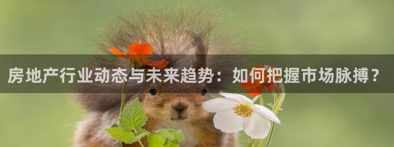 股票5G宝新：房地产行业动态与未来趋势：如何把握市场脉搏？