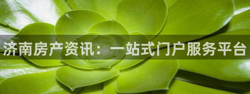 新宝5日：济南房产资讯：一站式门户服务平台