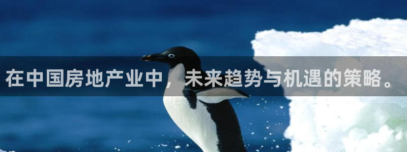 新宝5户端：在中国房地产业中，未来趋势与机遇的策略。