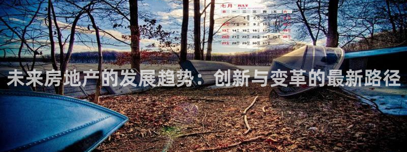 新宝5测速：未来房地产的发展趋势：创新与变革的最新路径