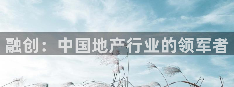 新宝5是谁：融创：中国地产行业的领军者