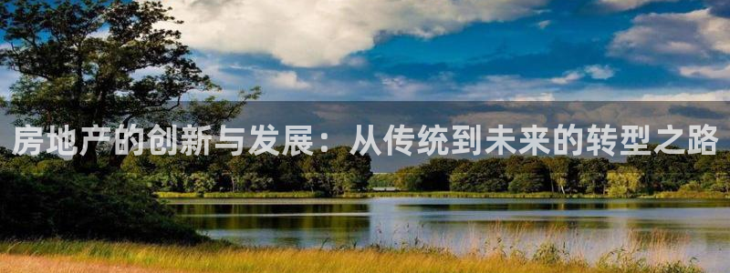 菲律宾新宝5老板：房地产的创新与发展：从传统到未来的转型之路